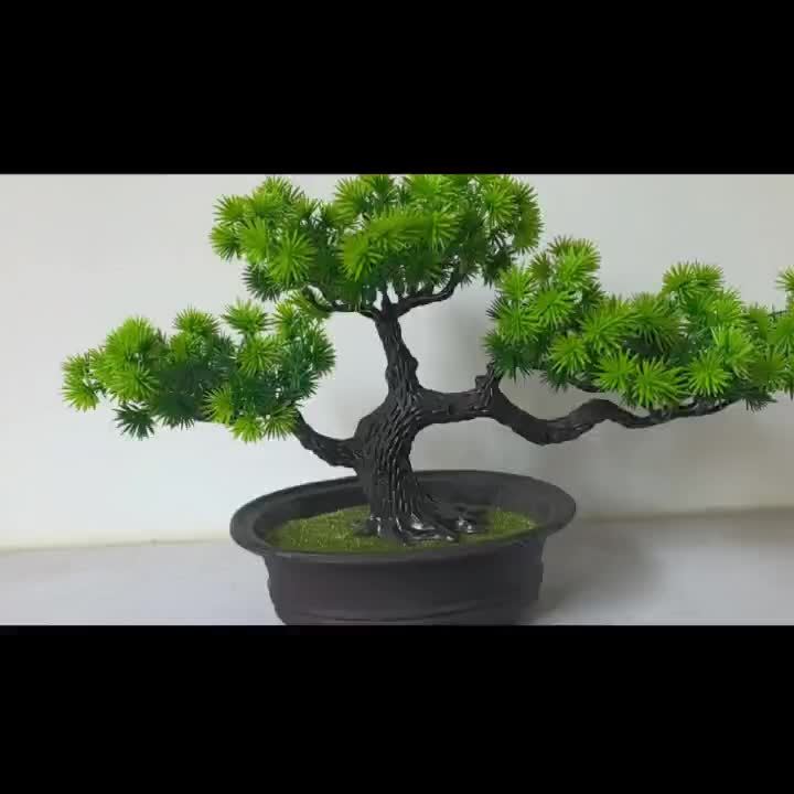 Lifelike Artificial Bonsai Tree in Black Pot - 19.99cm Tall